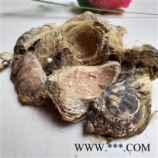 大腹皮 大腹皮新货统货 产地 广西壮族自治区图2