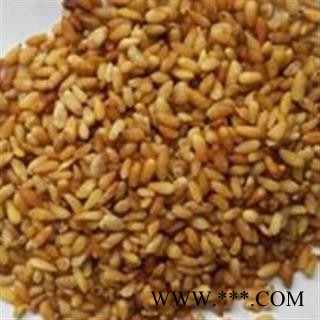 柏子仁 万信药业！！柏子仁95货 产地 山东省图2