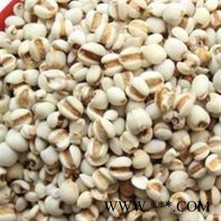 薏苡仁 进口大薏苡仁95米薏苡仁 进口大薏苡仁95米 新货大颗粒 产地直销 批发各种规格名贵药材 产地 海外图1
