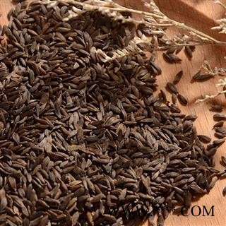 小丽百草行新货黑巨胜 黑生菜籽 黑生菜子 非黑芝麻  黑生菜子 莴苣子 莴苣 莴苣笋 莴菜 香莴笋过风车无杂图3