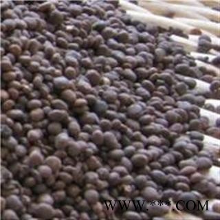 中药材 凤仙花子 指甲花子 急性图2