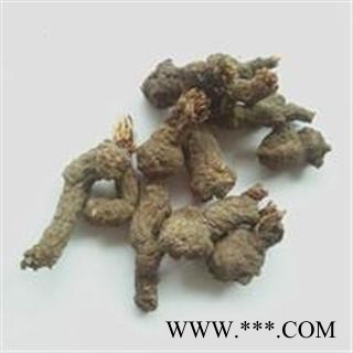 中药材  天葵子 千年老鼠屎 紫背天葵子 地丁子 无硫新货图3