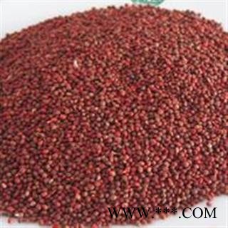 吉康药业楮实子  大货 供应图3