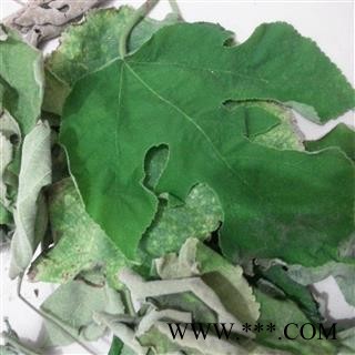 吉康药业楮树 构树 构桃树 楮实子 楮树叶 楮桃叶图2