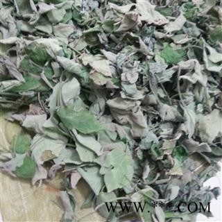 吉康药业楮树 构树 构桃树 楮实子 楮树叶 楮桃叶图3