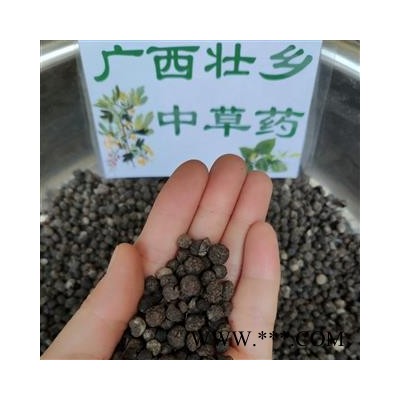 广西壮乡中草药 野生 正宗 干品 地下明珠 落地珍珠 一滴金丹 茅膏菜根 产地 广西 融水苗族自治县