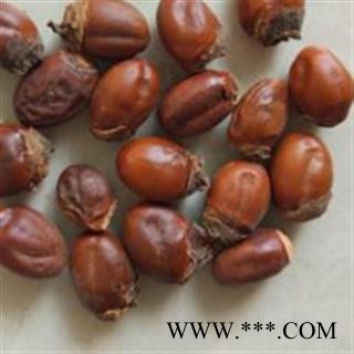 荔枝核 荔枝核统货 产地 广西壮族自治区图2