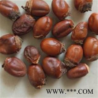 荔枝核 荔枝核统货 产地 广西壮族自治区图4