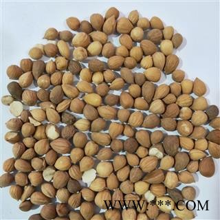 郁李仁 郁李仁选货 产地 甘肃省图3