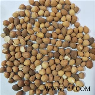 郁李仁 郁李仁选货 产地 甘肃省图2