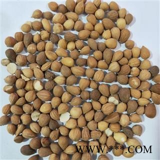 郁李仁 郁李仁选货 产地 甘肃省图4