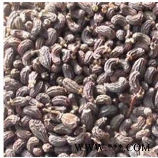 女贞子 女贞子腰果净货 产地 山东省图2