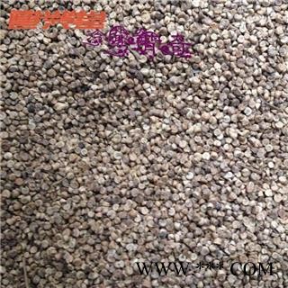 冬葵子 冬葵子 产地 黑龙江省 批发各种冷背中草药个子图2