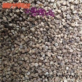 冬葵子 冬葵子 产地 黑龙江省 批发各种冷背中草药个子图3