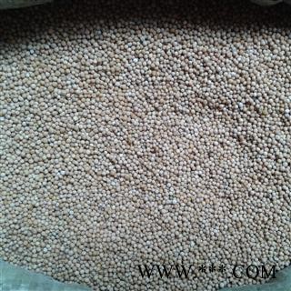 白芥子 选 产地 黑龙江省 批发各种冷背中草药个子图2