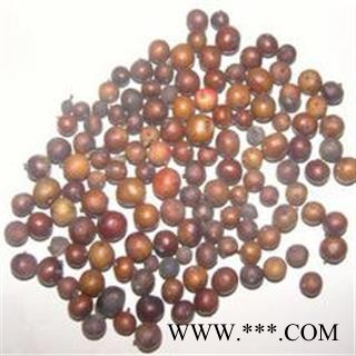 南烛子 南烛 乌饭果 乌饭子 统 产地 江苏省 批发各种冷背中草药个子图2