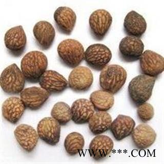 蕤仁 蕤仁统货 产地 山西省图2