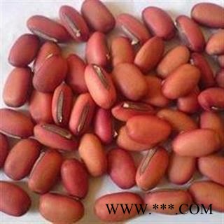 刀豆 正品红刀豆 产地 广西壮族自治区图2