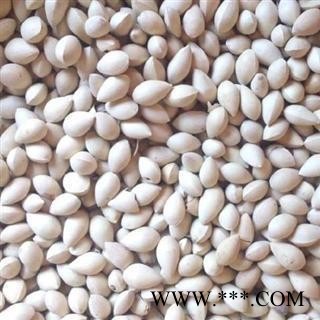 白果 白果统货 产地 江苏省 国药堂 专注品质图2