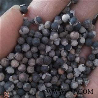 蔓荆子 云南蔓荆子小粒 产地 云南省图2