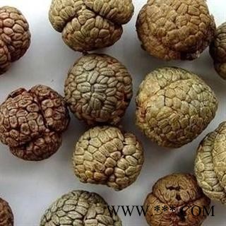 草豆蔻 选 草豆蔻 批发中药材 香料 花茶 矿石 产地 海南省海口市龙华区图2