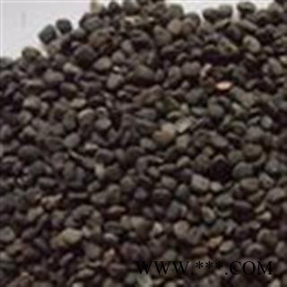 小丽百草行 曼陀罗子 醉葡萄、天茄子、胡茄子、狗核桃、风茄果、伏茄子、图2