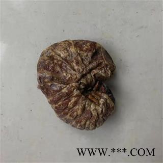 小丽百草行芝麻虫无硫新货 豆虫 干品芝麻虫 豆天蛾 豆丹图3