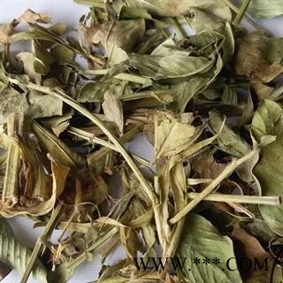 小丽百草行花生叶 新货长果叶 花生秧叶 干花生叶图2