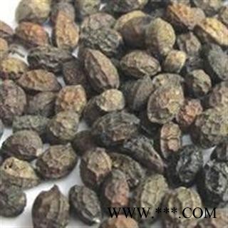 鸦胆子 老鸦胆 苦榛子 苦参子 小苦楝图2