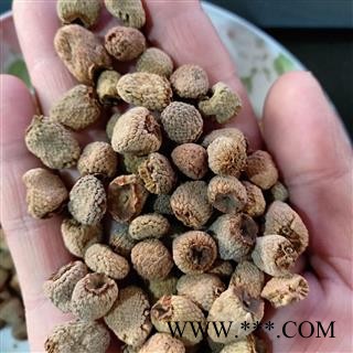 覆盆子 覆盆子选货 产地 浙江省图3