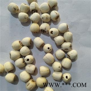 白莲子 湖南湖北空心磨皮白莲子98货无虫蛀货物匀称 产地 湖南省图2