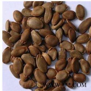 瓜蒌子 双边瓜蒌子选货 产地 河北省图3