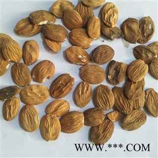 桃仁 扁桃仁统货个头饱满无烂仁 产地 山西省图3