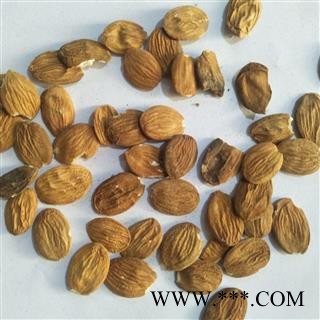 桃仁 扁桃仁统货个头饱满无烂仁 产地 山西省图2