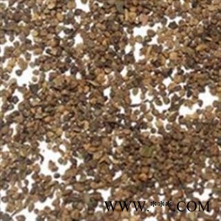 地肤子 山东地肤子统货 产地 山东省图3