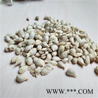 桔核 橘核 广柑核统货 产地 广东省图2