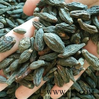 西青果 选货 产地 广西壮族自治区图2