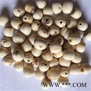 白莲子 空心白莲子统货 抽芯率高 颜色白 产地 湖南省图2