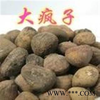 小丽百草行中药材大风子 大枫子  大风子仁手工挑选干净无皮图2