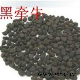 吉康药业中药材黑丑 白丑（黑丑10、白丑15）图3