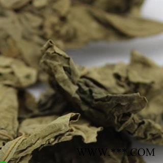 吉康药业蓖麻子蓖麻叶 蓖麻叶图4