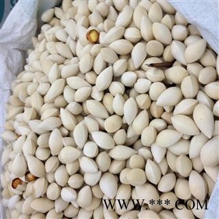 白果 白果仁 银杏仁 白果选 产地 江苏省 批发各种冷背中草药个子图2