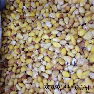 白果 白果仁 银杏仁 白果选 产地 江苏省 批发各种冷背中草药个子图3