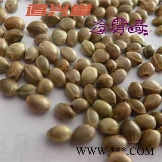 火麻仁 火麻仁大粒 产地 陕西省 带壳 批发经营各种冷背中草药个子图2