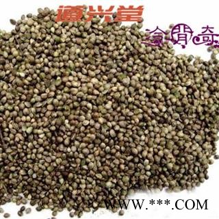 火麻仁 火麻仁大粒 产地 陕西省 带壳 批发经营各种冷背中草药个子图3