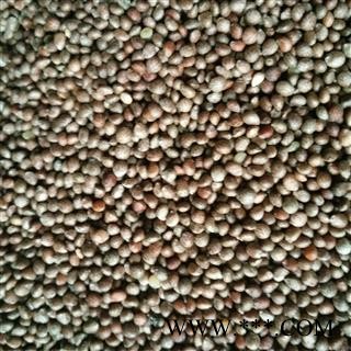 紫苏子 紫苏子净货 产地 河南省图2