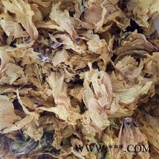 秋葵 秋葵花  黄蜀葵花 黄秋葵花 侧金盏花  产地 安徽省图2