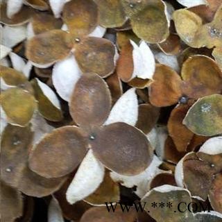 陈皮 广陈皮 新会陈皮 三年老陈皮 产地 广东省图2