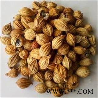 香砂 香砂大统大货批发价 产地 广西壮族自治区图2