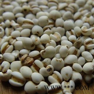 薏苡仁 国产薏苡仁98米1000克促销批发 产地 云南省图2